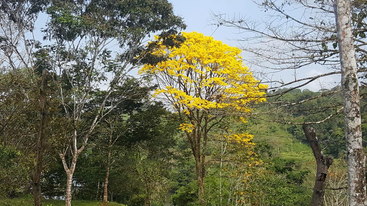 Boca Tapada Lodge Buitenkant foto